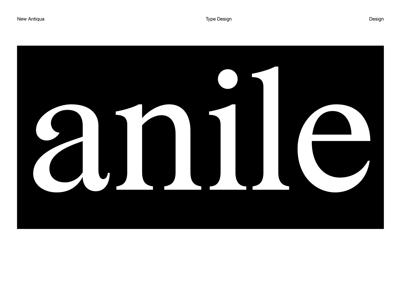 design Graphic Designer type font Typeface type design typography   serif lettering Calligraphy  