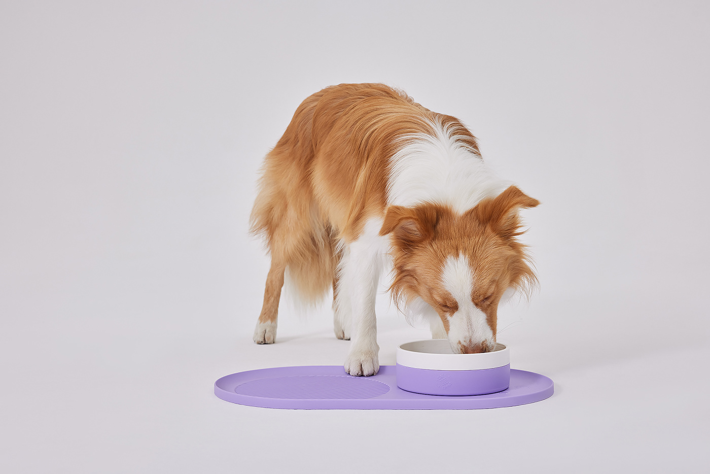 industrial design  product dog cute product design  industrial design object Pet