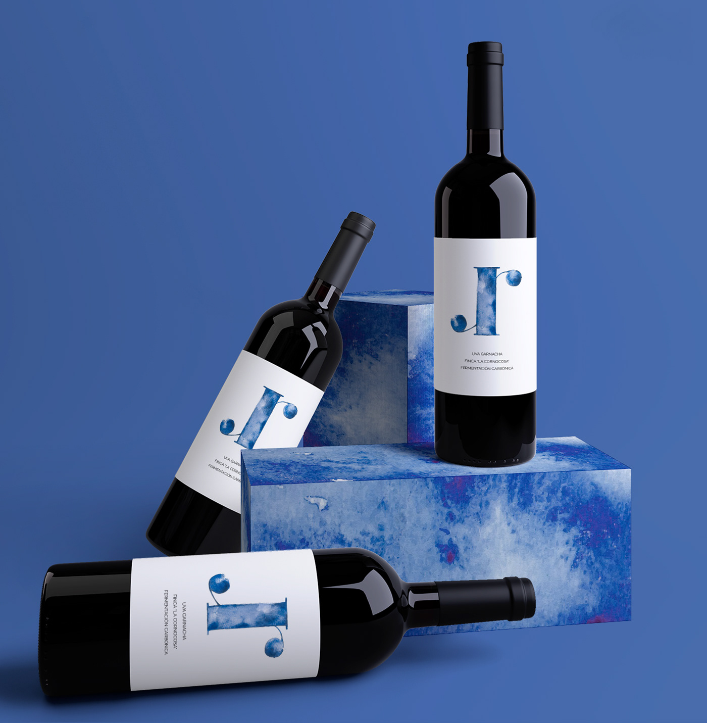 Logotype wine Corporate Identity Web concept ArtDirection typography   grapes drinks blue