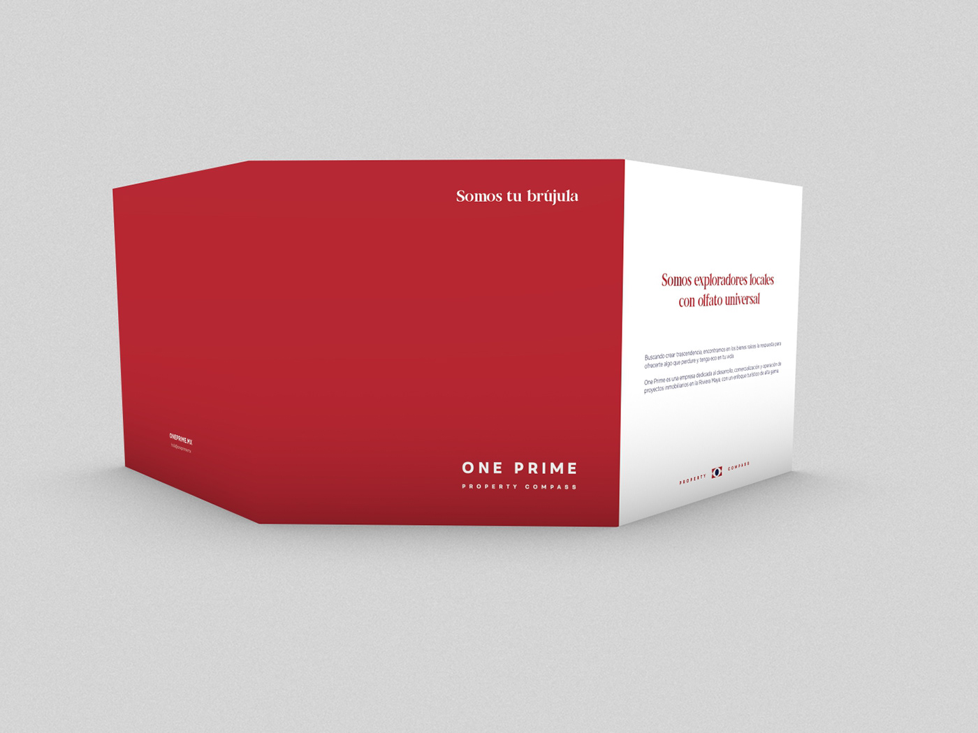 ONE PRIME brochure design branding  red blue