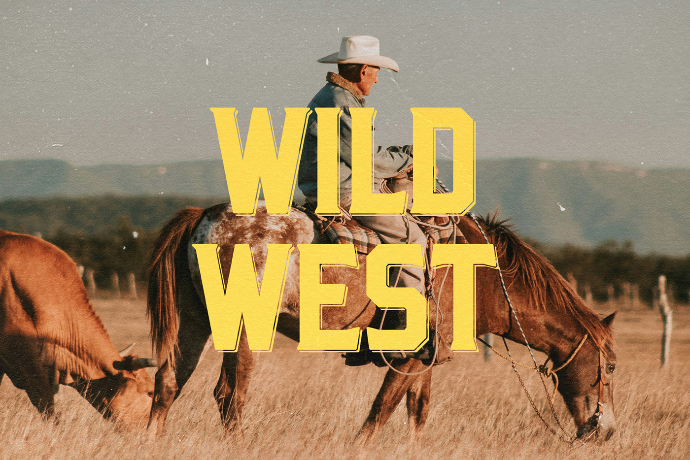 wood type Typeface font western font wild west wooden font cowboy texas logo font