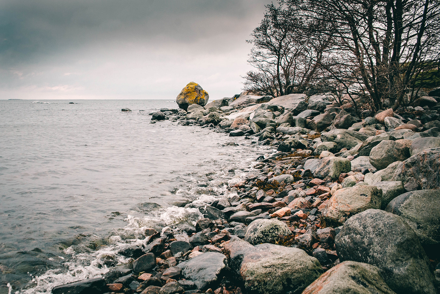 reed rocks autumn Landscape finland pebbles Kokar Presetr sea