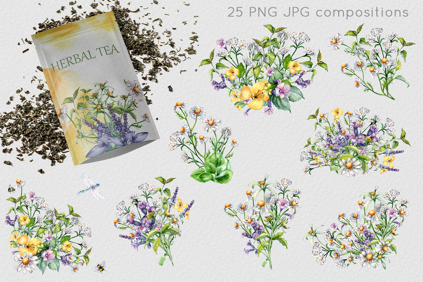 ILLUSTRATION  design herbs medicinal plants Packaging herbal tea watercolor Plantain Cosmetic celandine