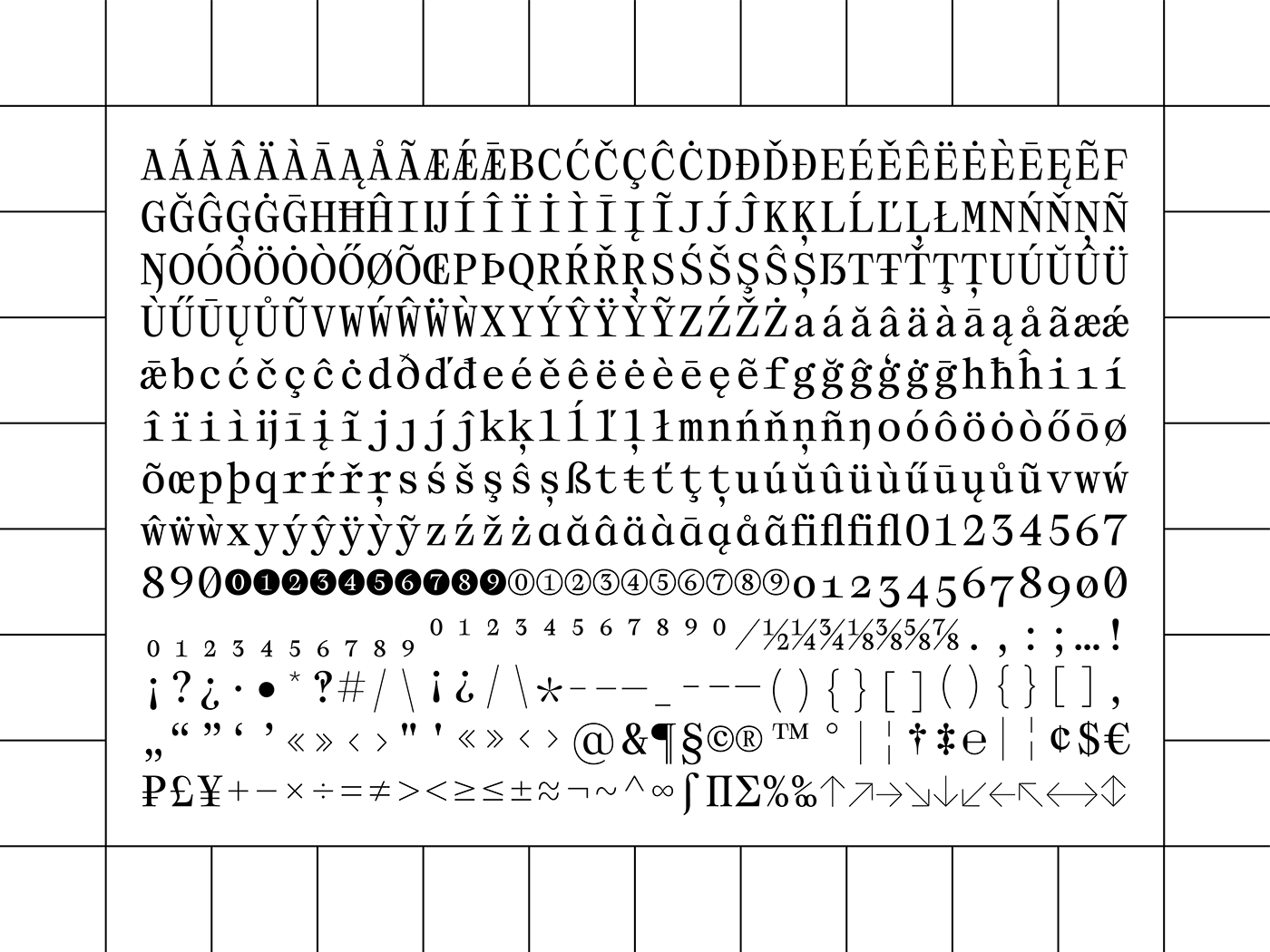 type Typeface type design font monospace serif typography   graphic design  brand identity visual identity