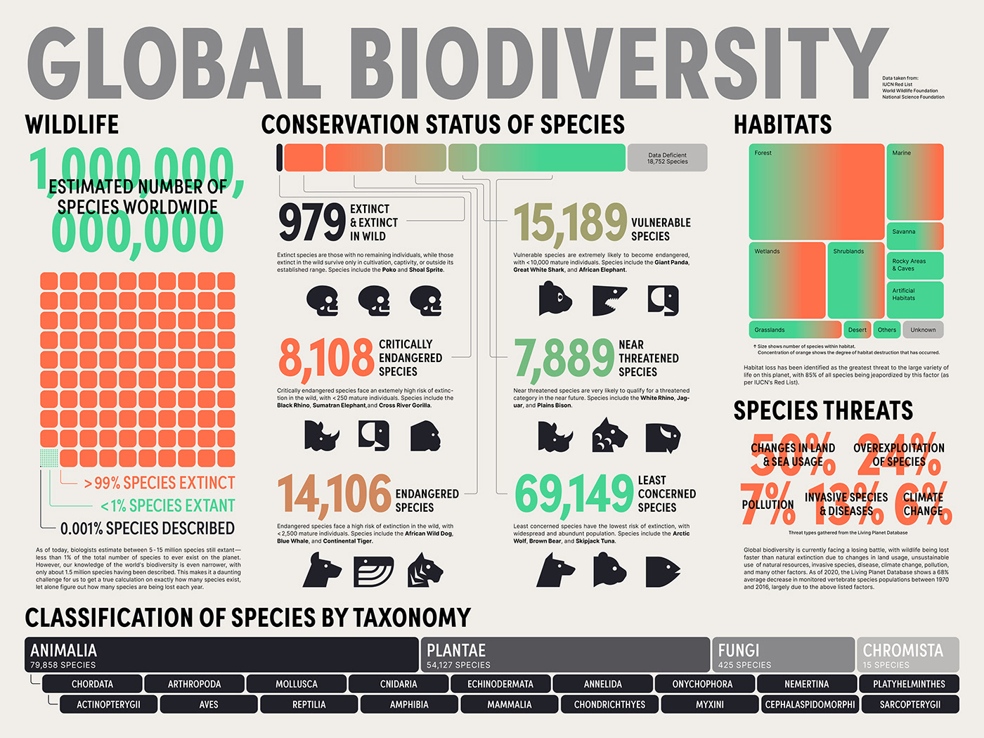 animals biodiversity color graphic design  infographics information design Nature poster type typography  
