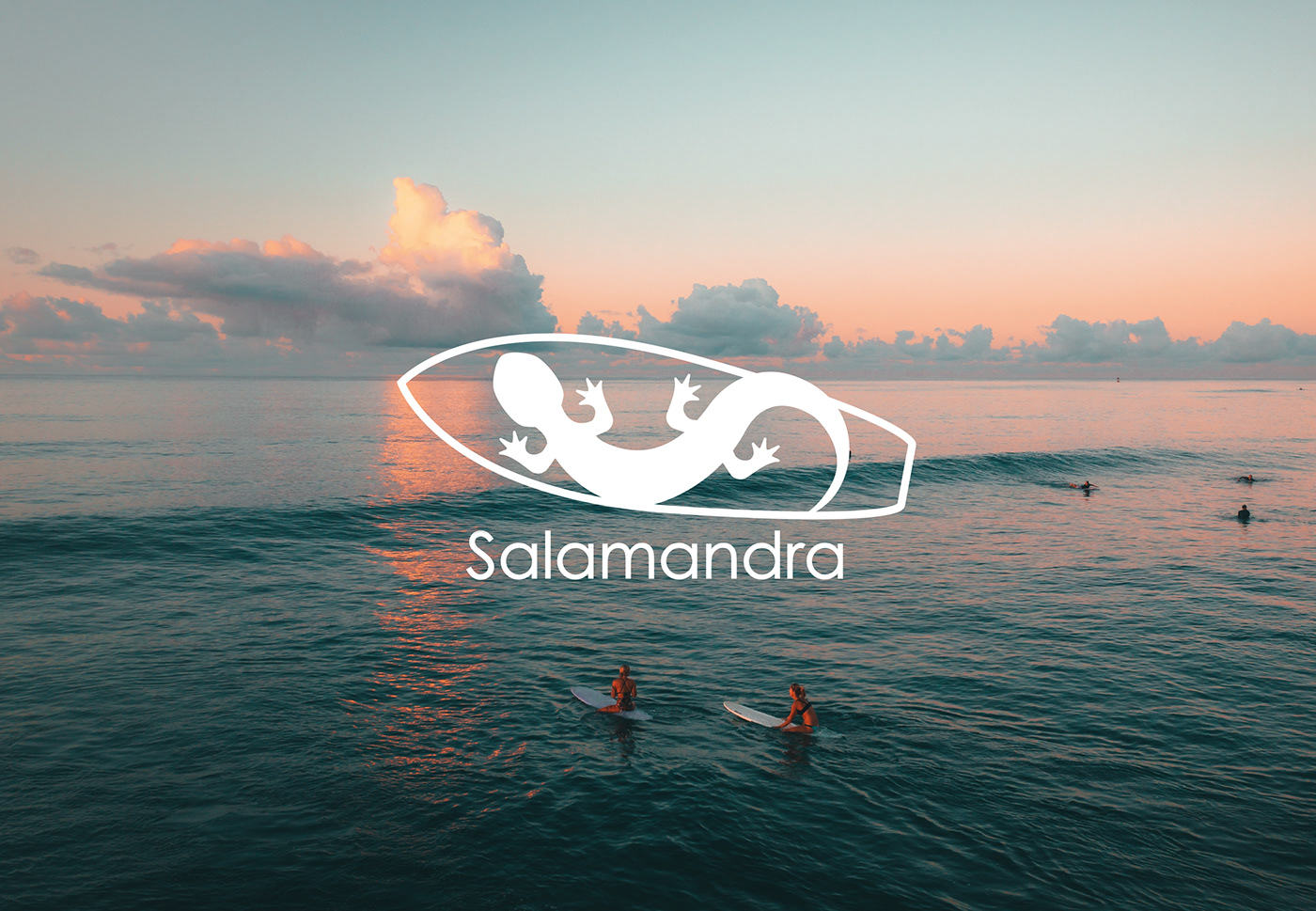 design logo Logo Design salamandra surfboard визитка графический дизайн дизайн логотип полиграфия