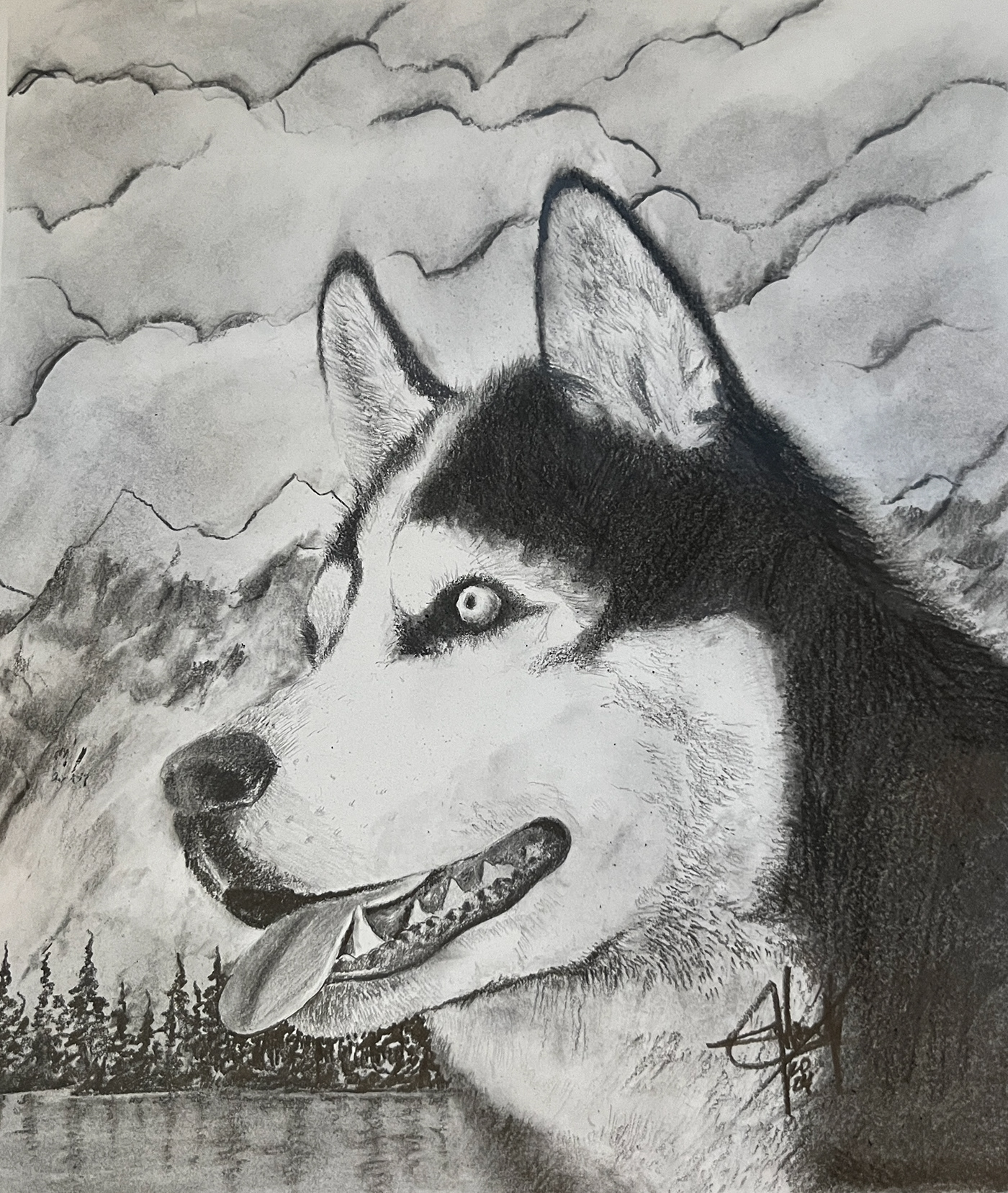 graphite Drawing  dog awesome