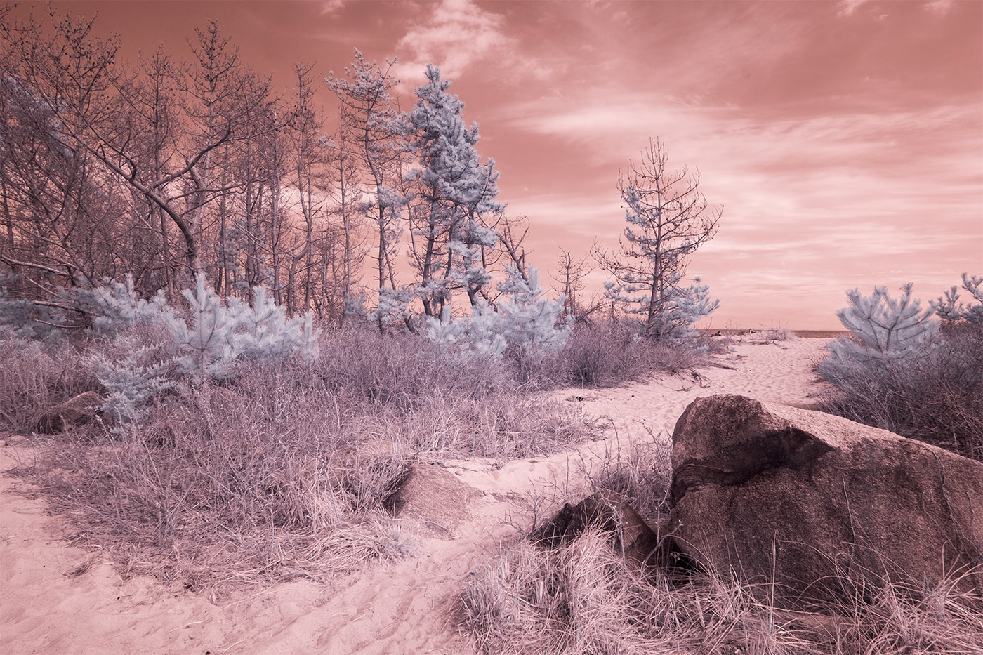 infrared digital photography  Landscape Photography 