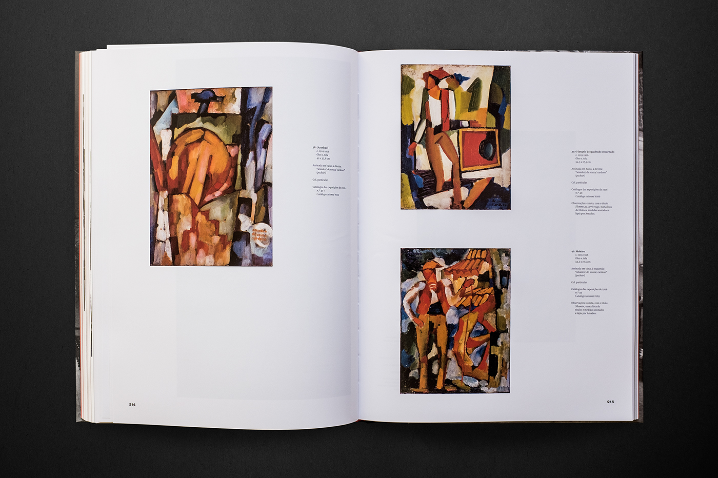 Catalogue book editorial amadeo Exhibition  porto