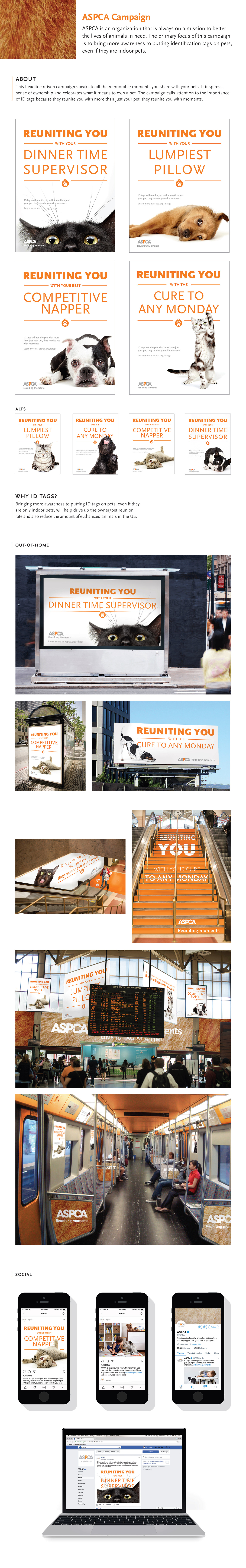campaign art direction  Advertising  animals headlines shelter awareness