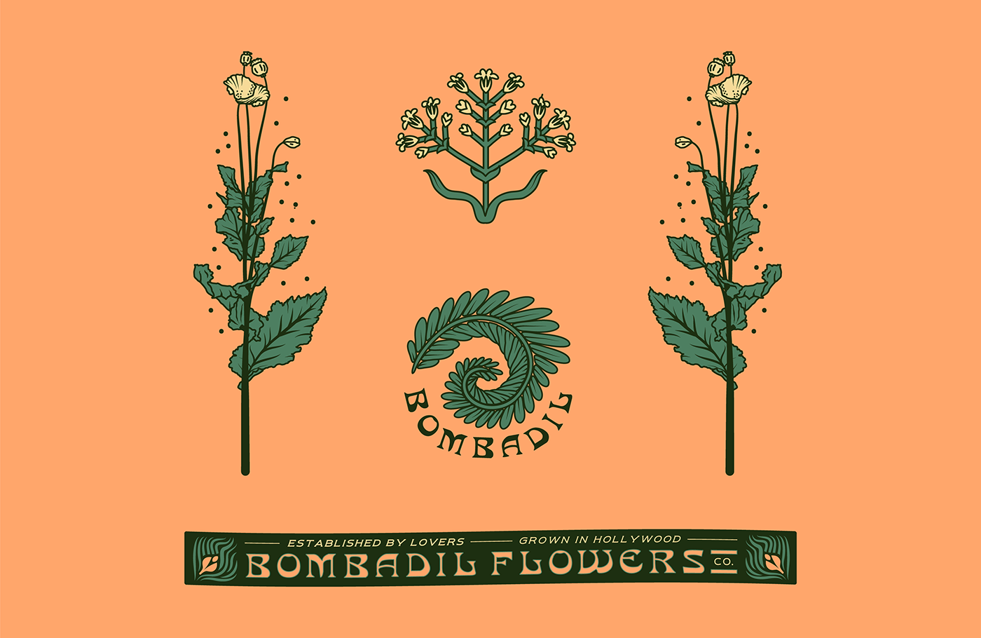 branding  graphic design  identity ILLUSTRATION  Playful tear sheet vintage Classic flower company Flowers