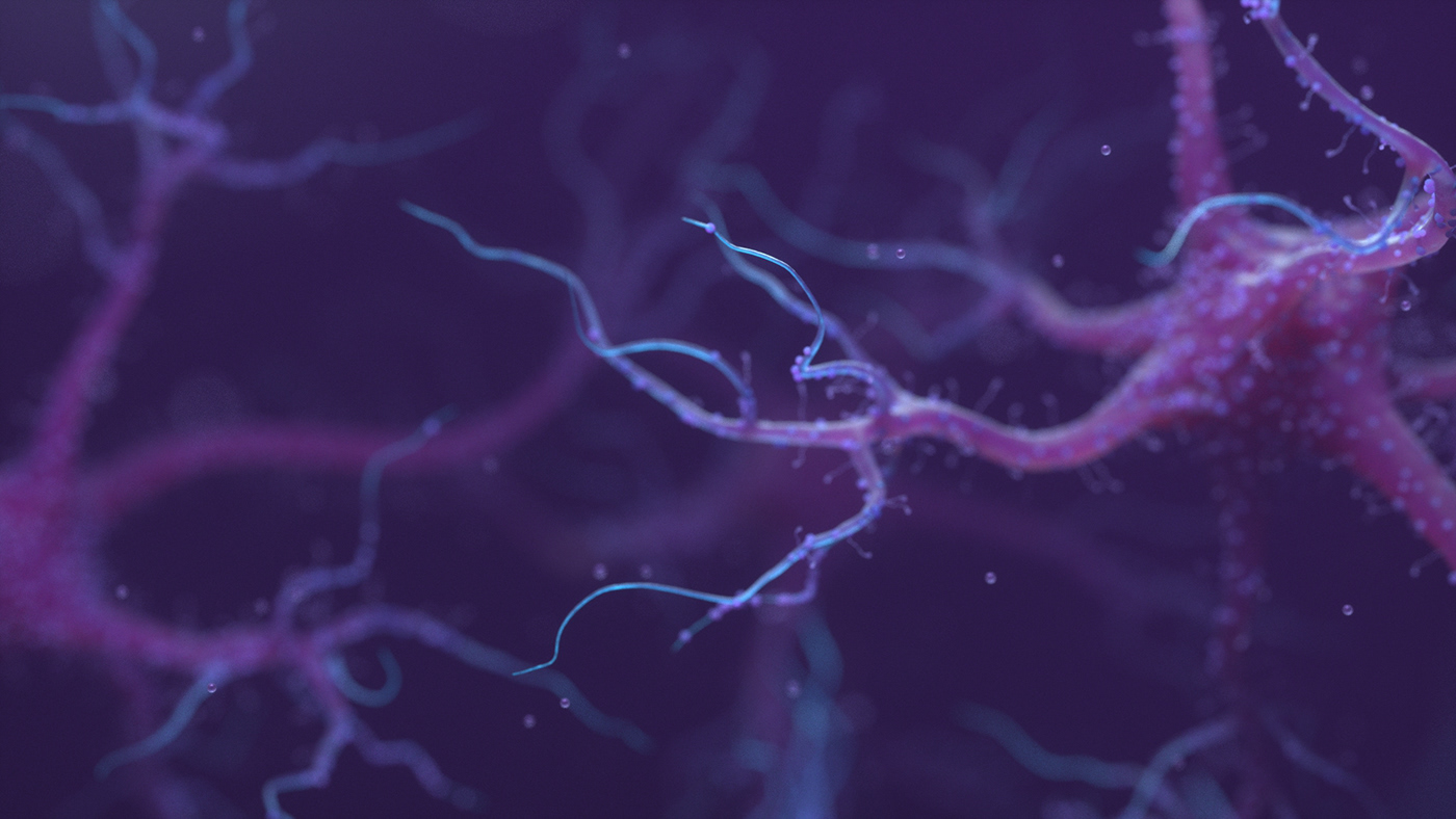 brain lightwave 3d neural Neural Networks neuron Neuroscience Octane Render science Web Design  Zbrush