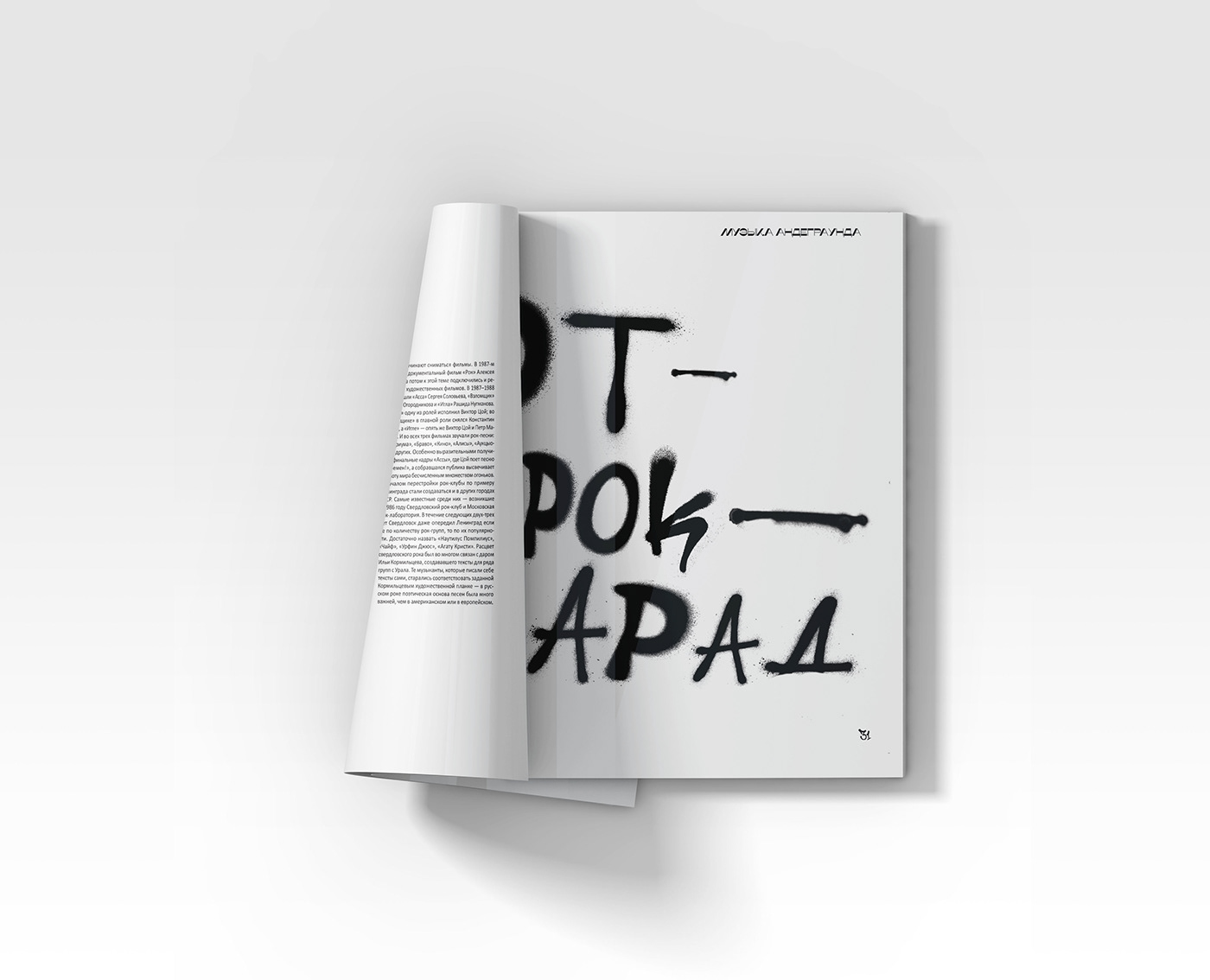 book cover design Fashion  InDesign magazine Magazine design Photography  Style typography  