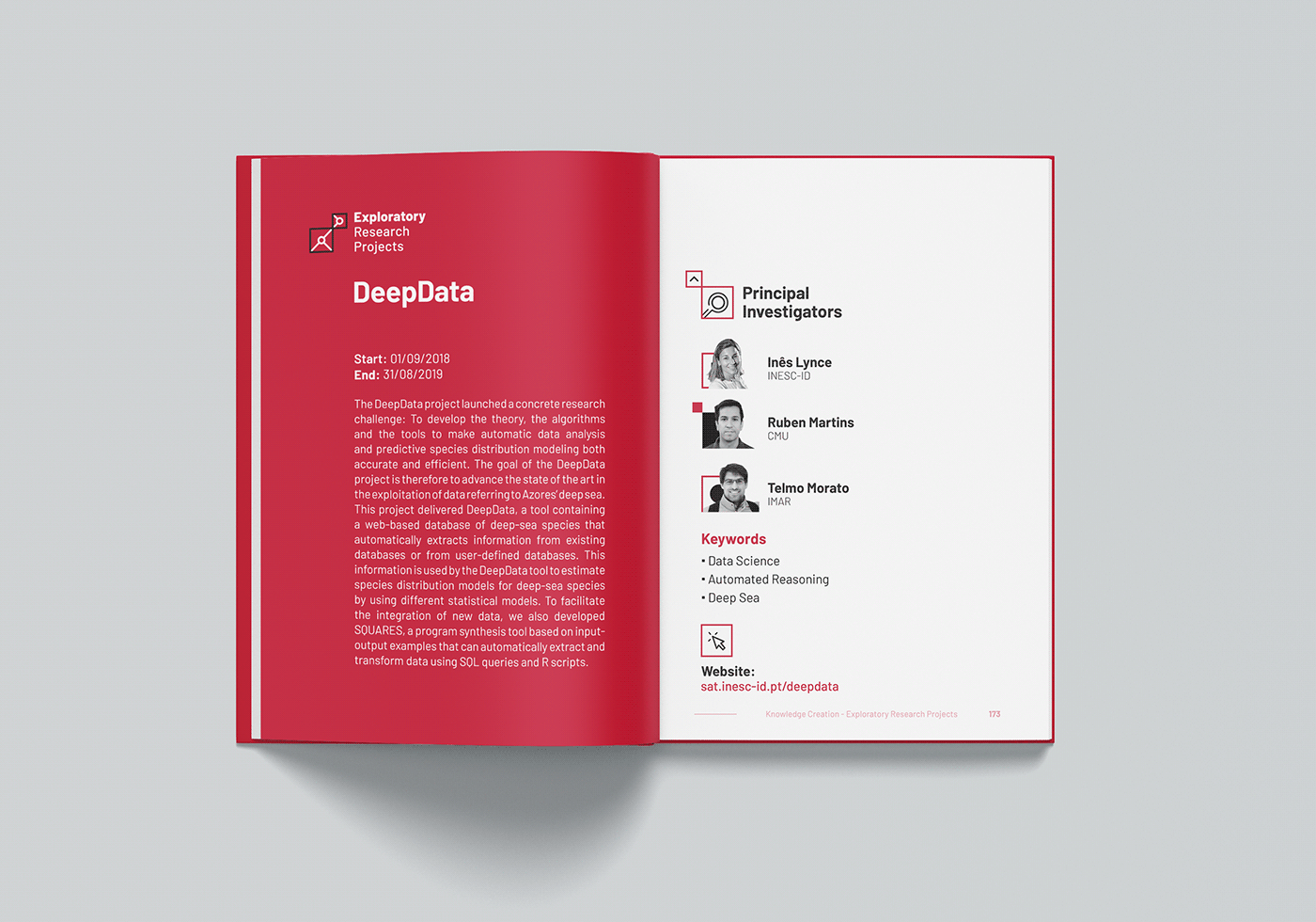 annual report editoral graphic design  infographics pagination University