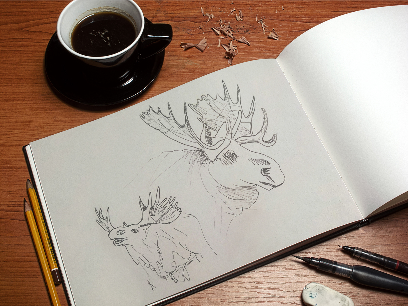 sketchbook moleskine drawings Copic kurecolor pen