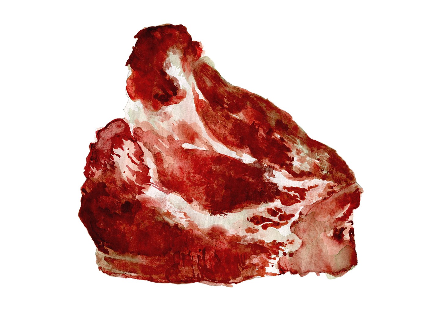 meat Food  Chuck bacon ham pork chops haunch meat still life organic flesh