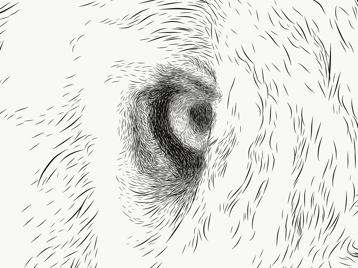 wolfdog snow animal alberta Canada animalart sanctuary rescue cochrane adobedraw ipadpro applepencil DigitalIllustration ILLUSTRATION  sketch digitalart dogs wolves pen vector vectorart