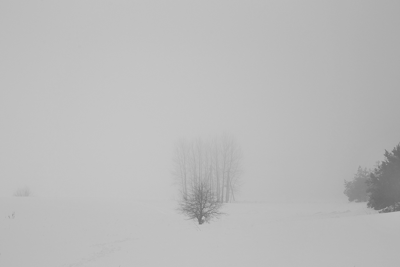 lietuva lithuania Landscape winter minimal Minimalism Mindaugas Buivydas fog