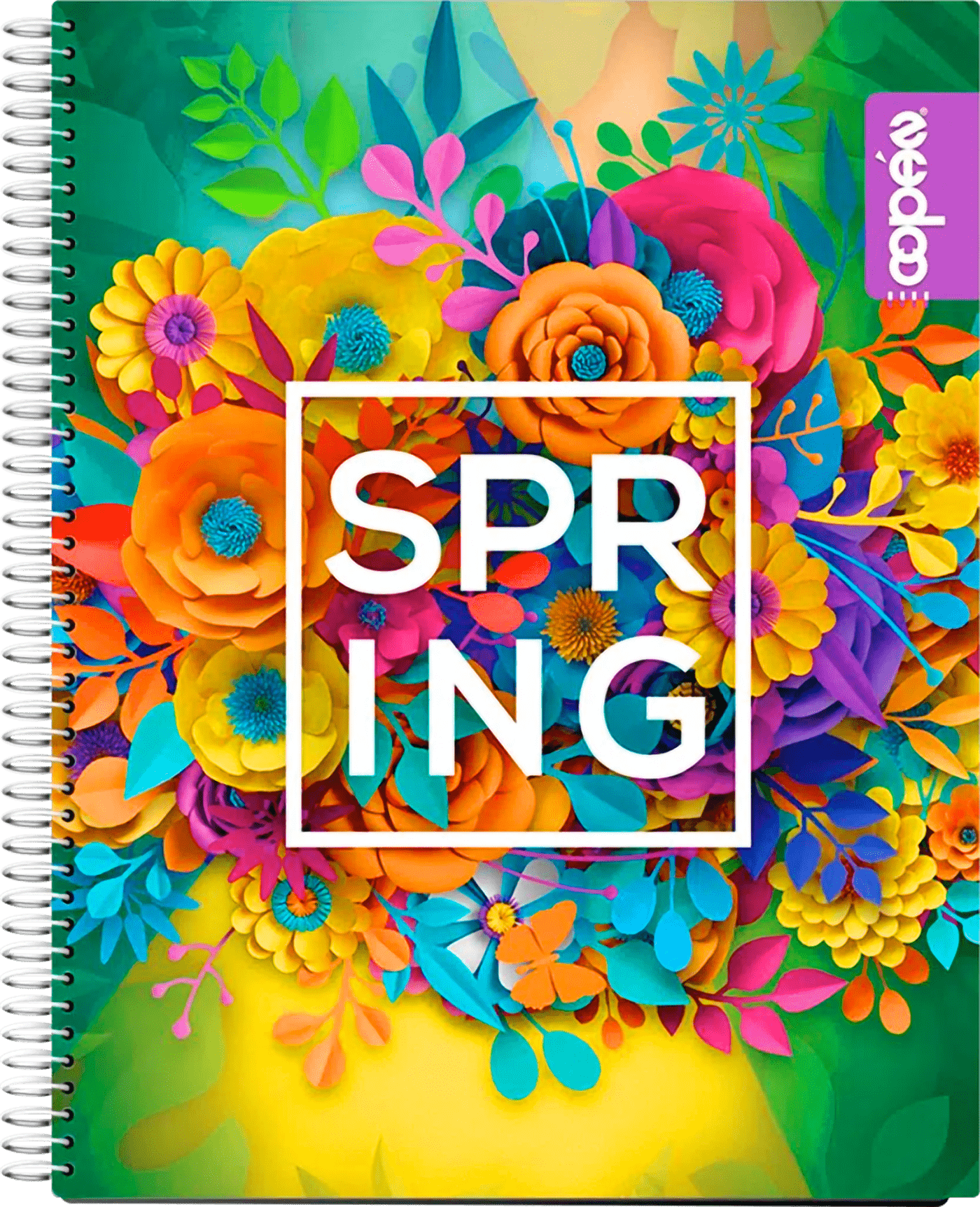 artwork designer Digital Art  graphic design  notebooks covers vector