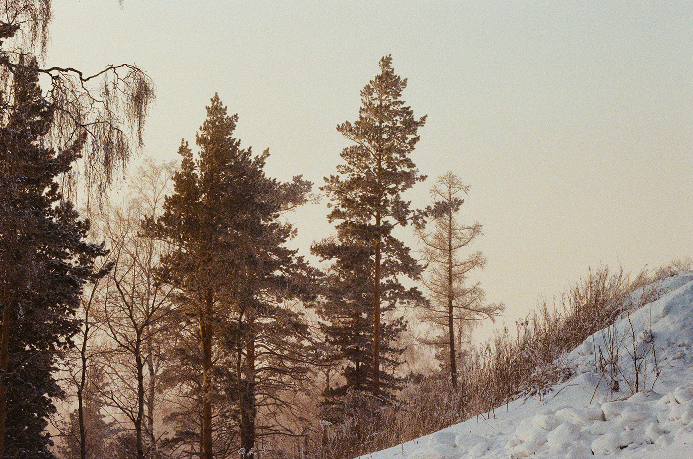 35mm 35mm film film photography kodak Film   KodakColorPlus200 winter mountains Altay Travel