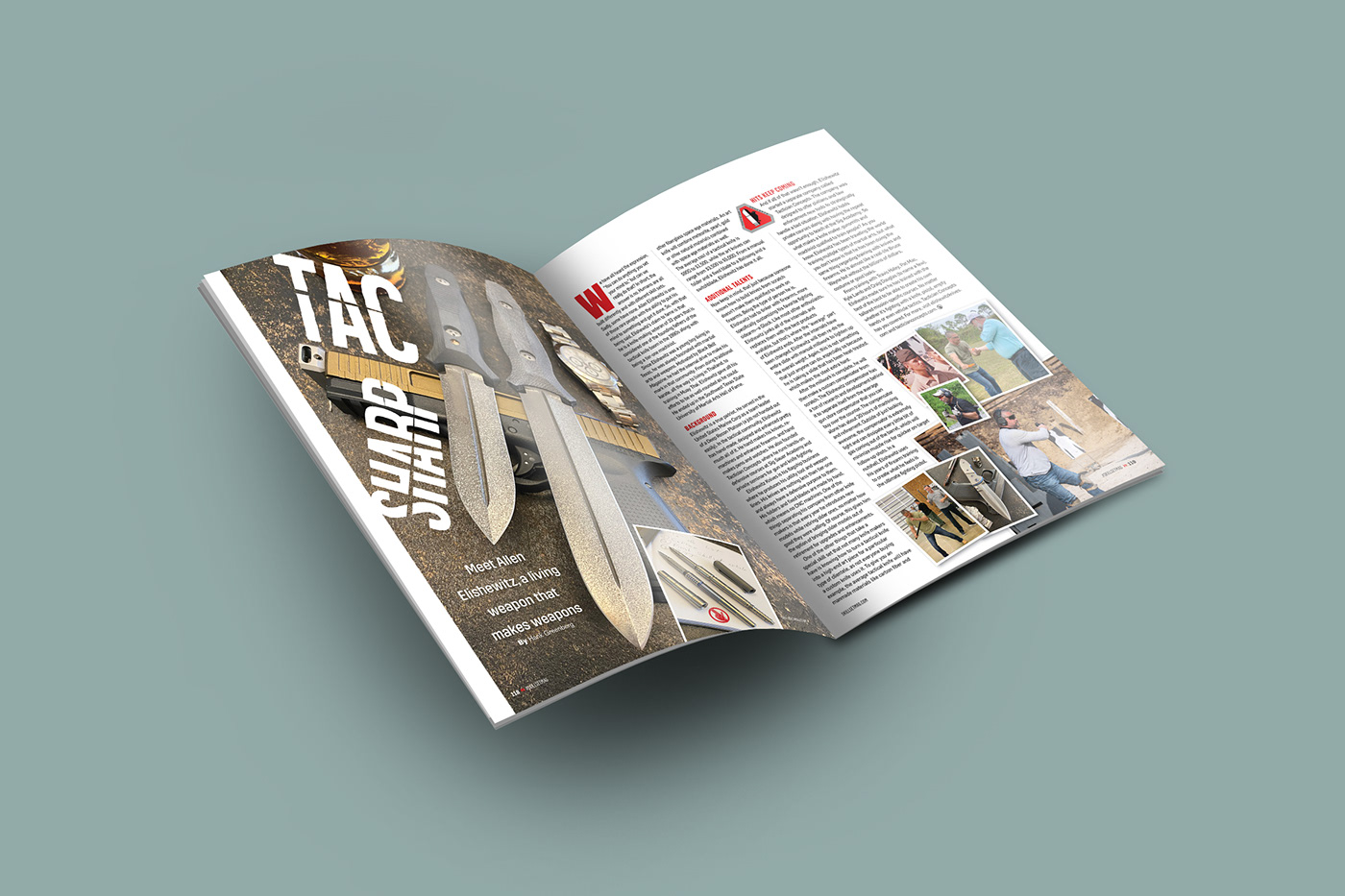 editorial editorial design  Layout magazine Magazine design