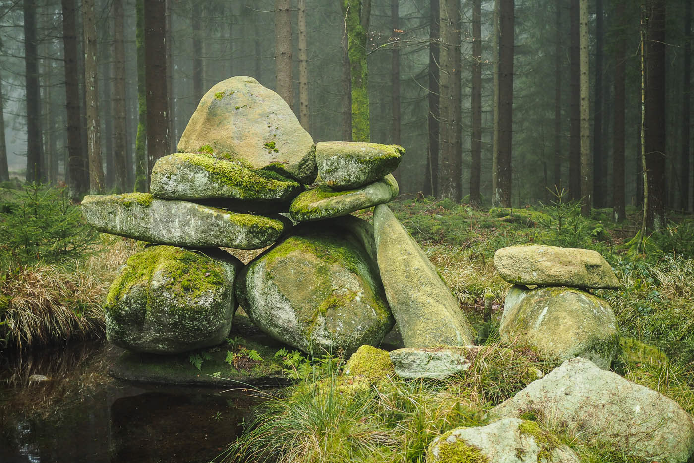 autumn fog forest Granite rocks trees