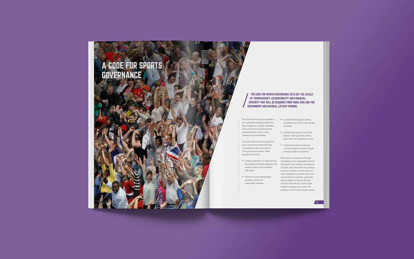 annual report iconography editorial sport charity organisation Layout brochure