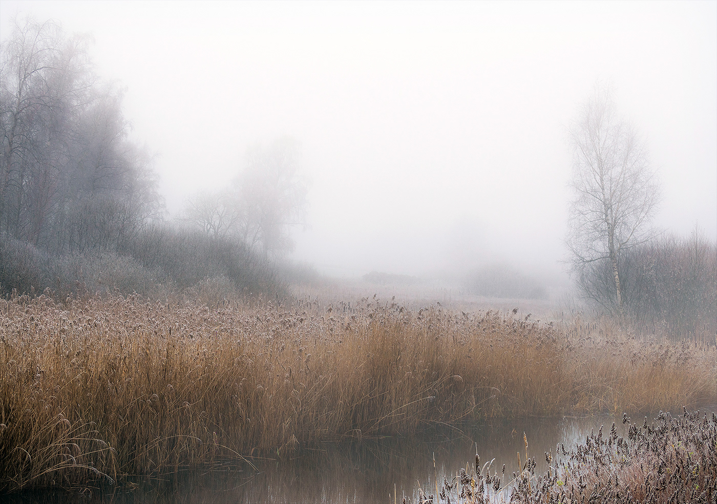 December Europe fog Landscape Nature river rural season Sweden water