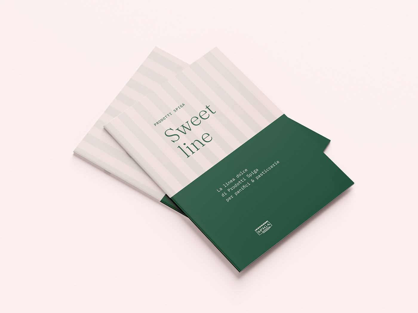 design catalog design Layout print