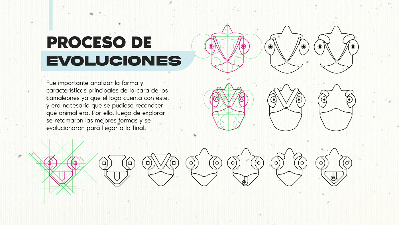 Clothing branding  Logo Design graphic design  El Salvador chamaleon camaleon logos
