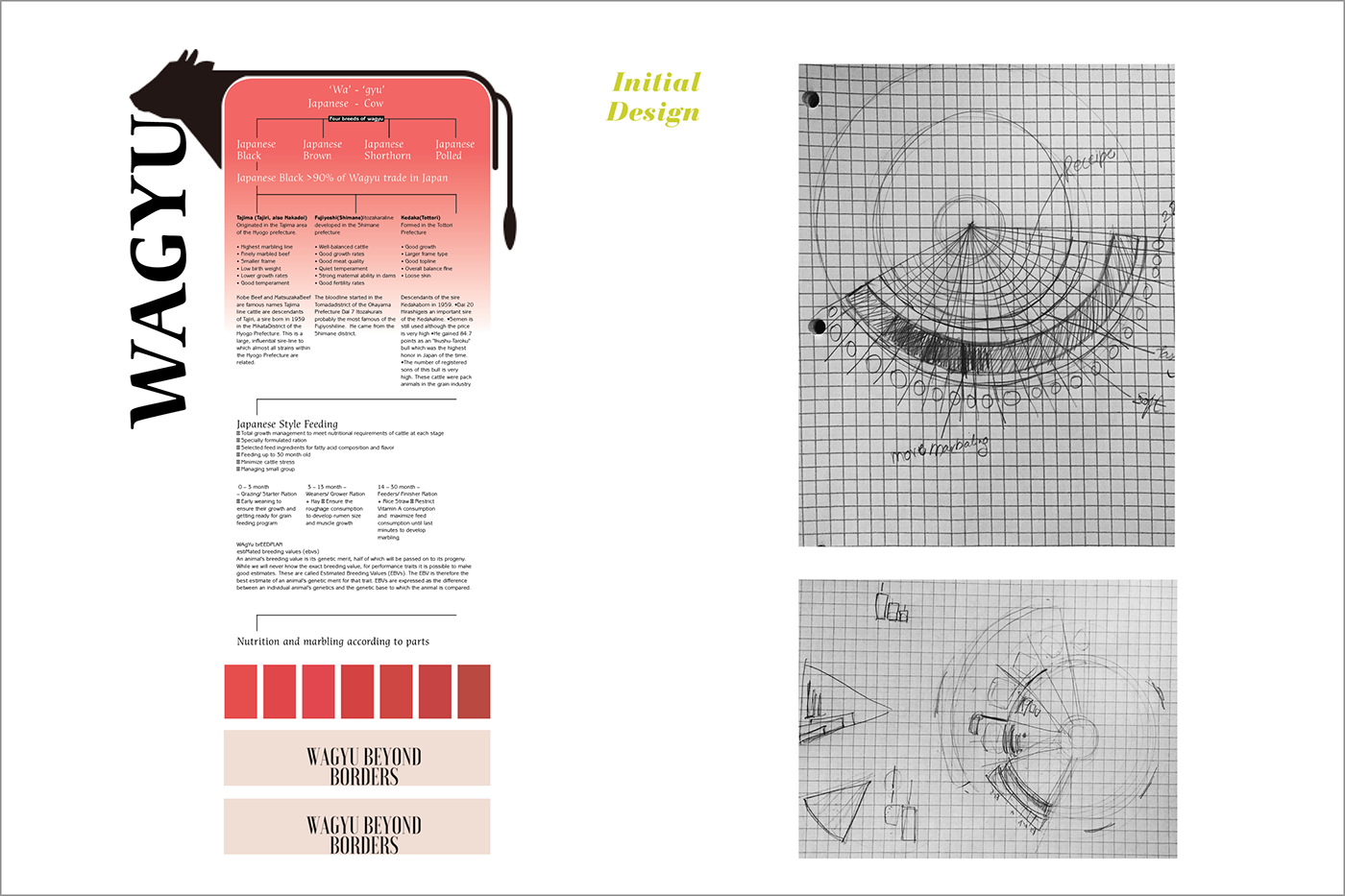 adobeawards graphic design  data visualisation infographic wagyu New York Times newspaper print