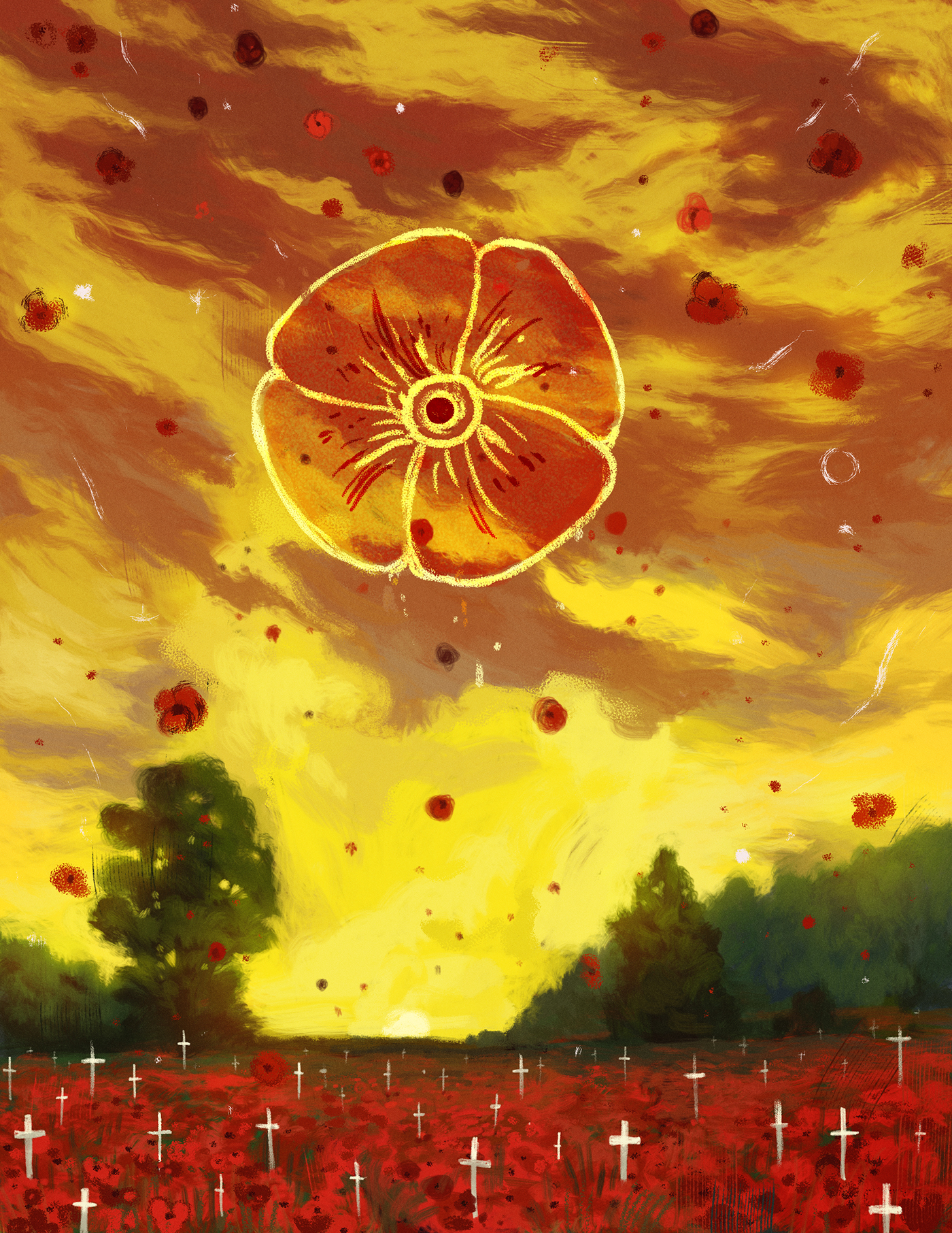 ILLUSTRATION  painting   doodle Drawing  Sun poppies remembrance day