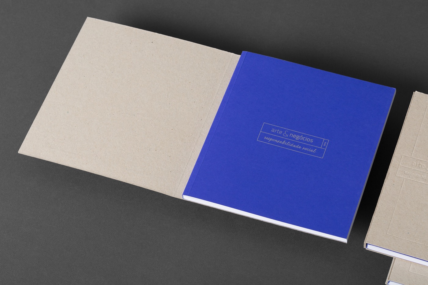blue PopSet pantone silver cardboard square book art book embossing hotfoil infraviolet