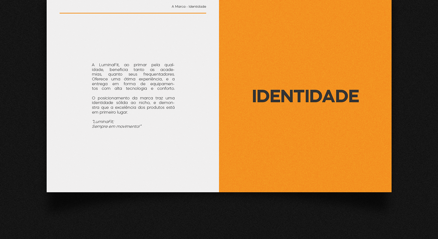 manual Manual de Marca identidade visual Manual de Identidad Logo Design logos brand identity Graphic Designer visual identity Logotype