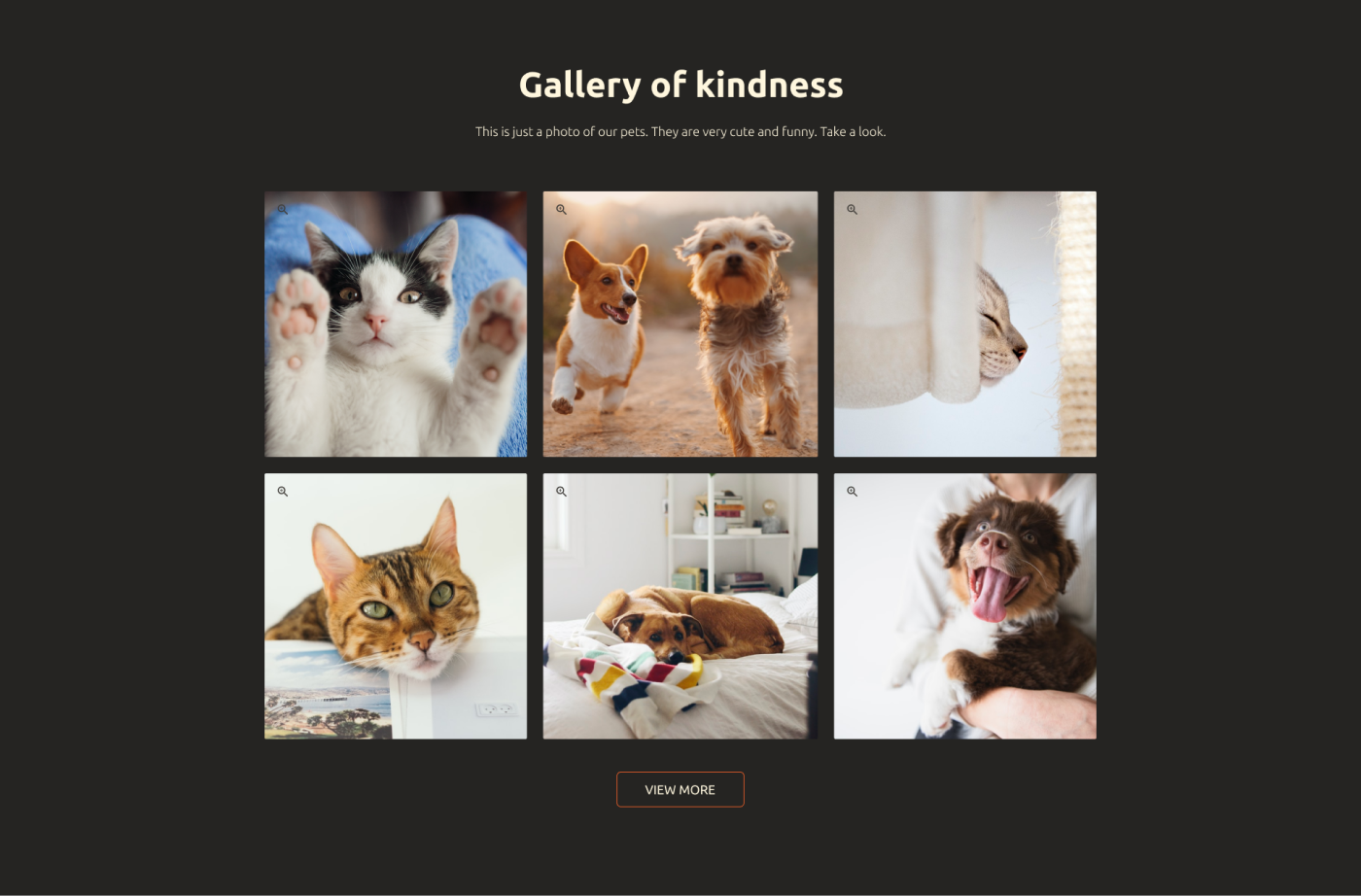 #animal #shelter cats dogs UI ux Responsive Website wordpress