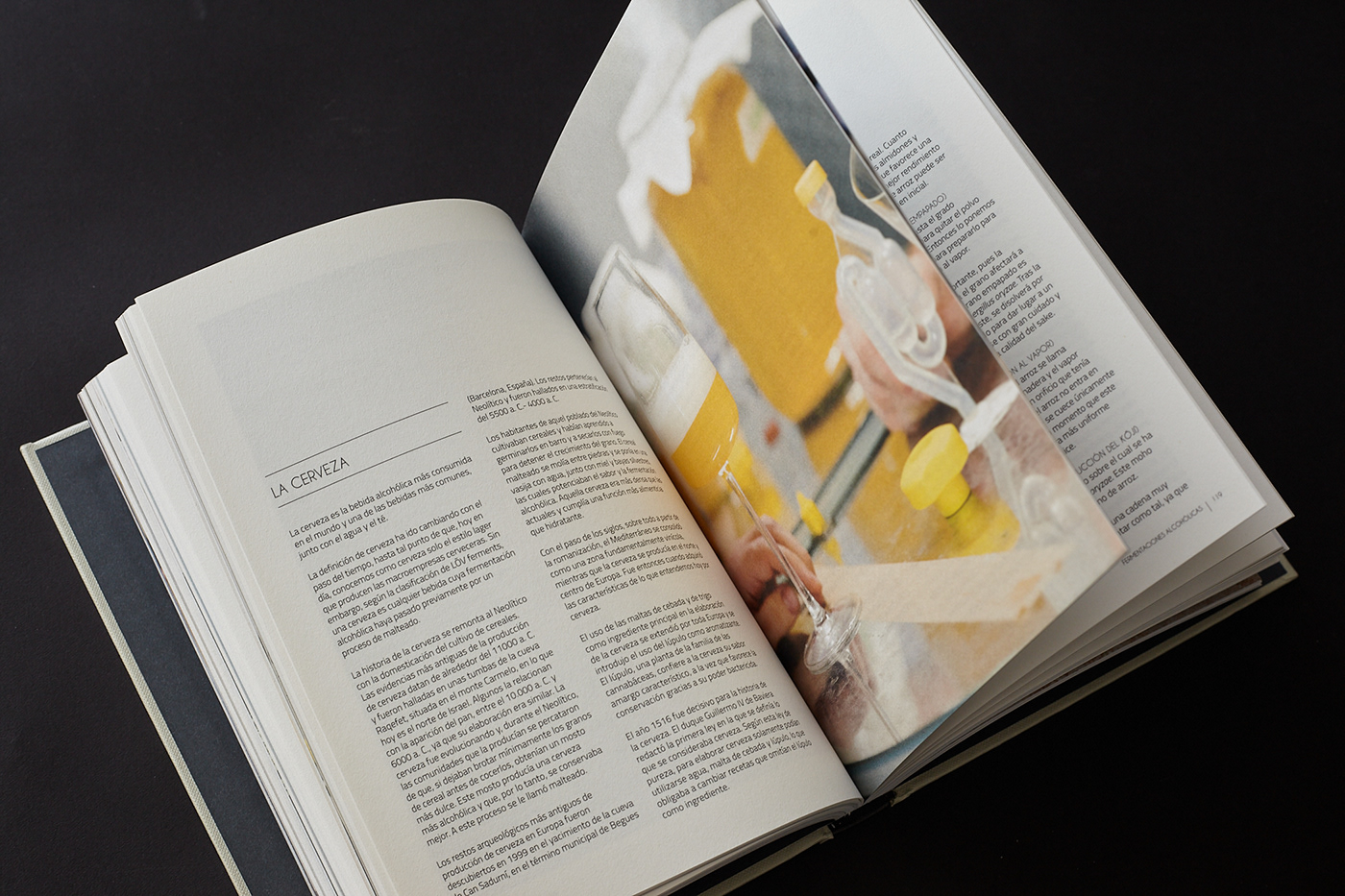 book book cover book design design Diseño editorial diseño gráfico editorial design  food book graphic design  typography  