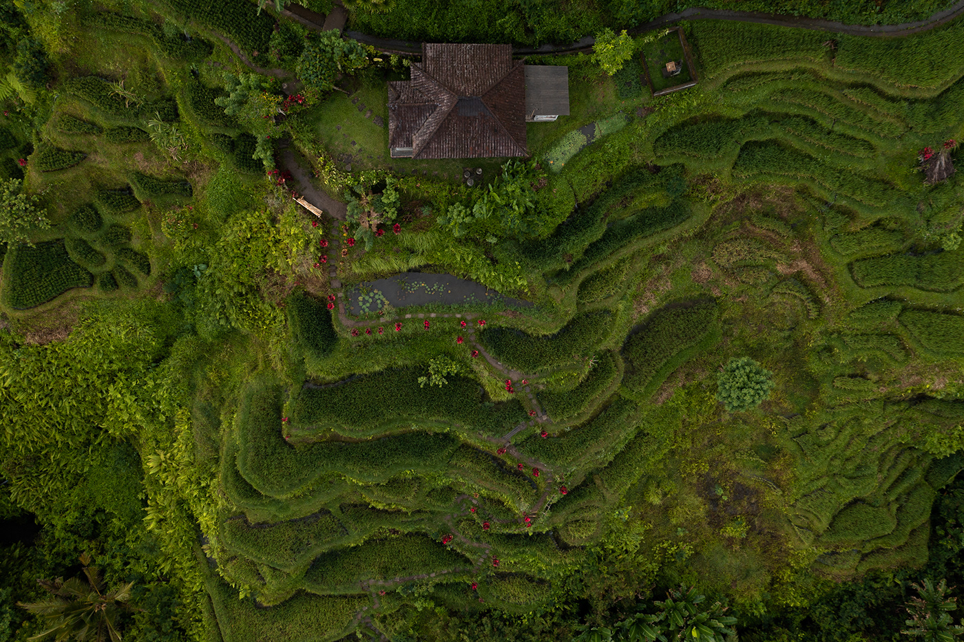 Aerial bali Drone photography green indonesia jungle Landscape roofs Travel architecture