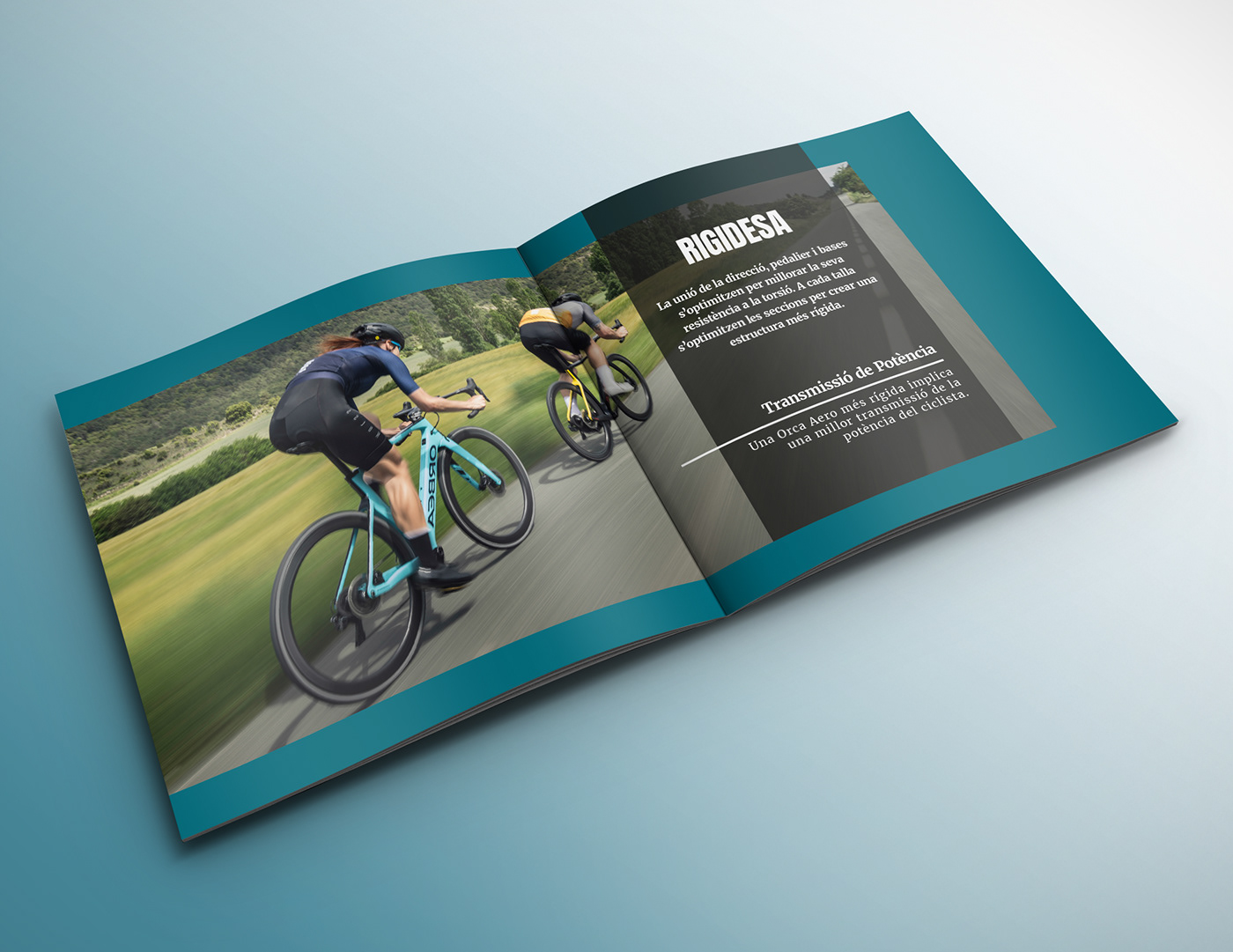 magazine Layout InDesign broschure design revista maquetación sport