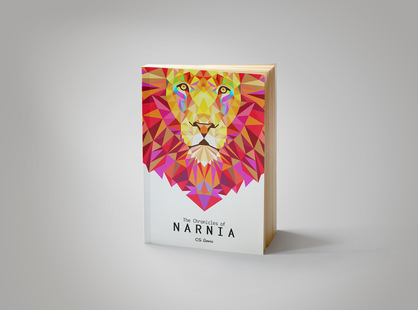 book cover Narnia colorful book cover art