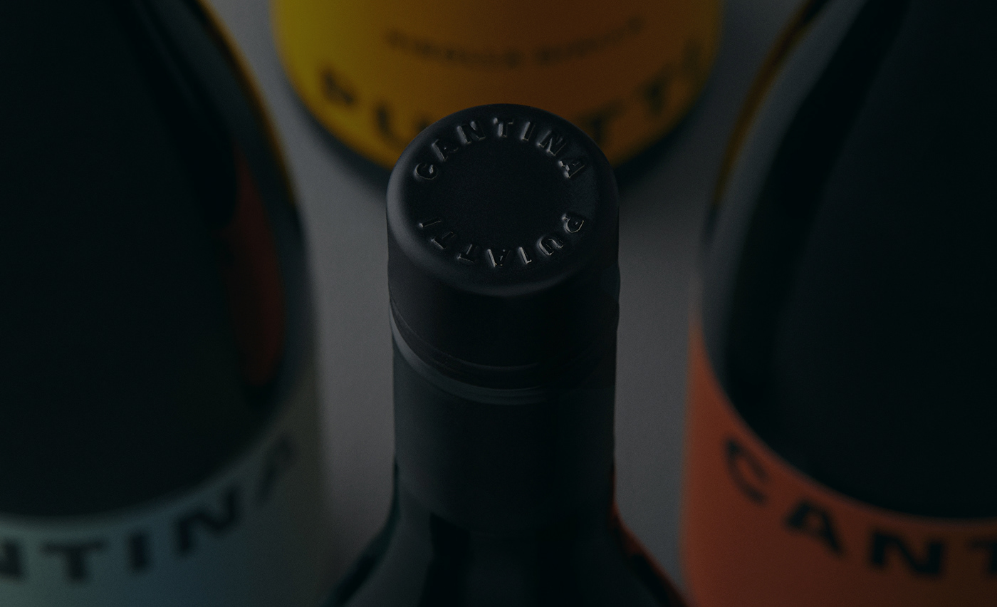 3D bottle brand identity font Label Logo Design package Packaging typography   wine