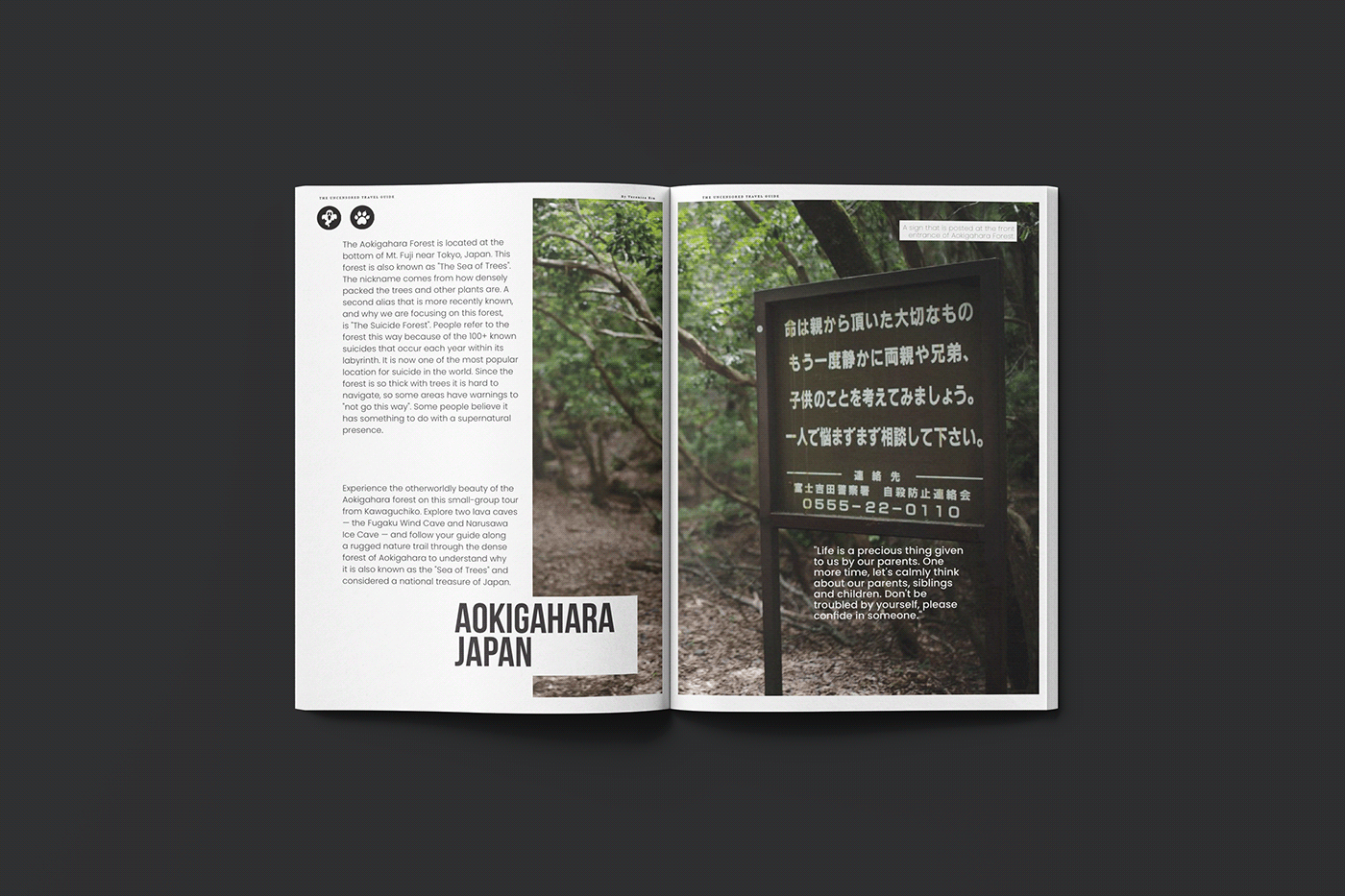 design Graphic Designer book InDesign branding  magazine Magazine design Travel