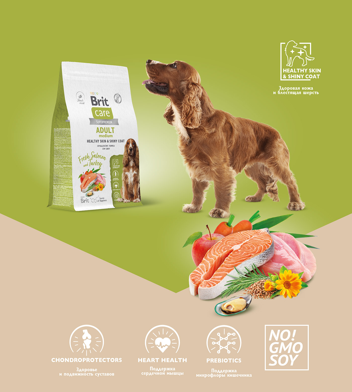 Pet pet food Pet Food Packaging Cat cat food dog dog food Packaging packaging design dry pet food