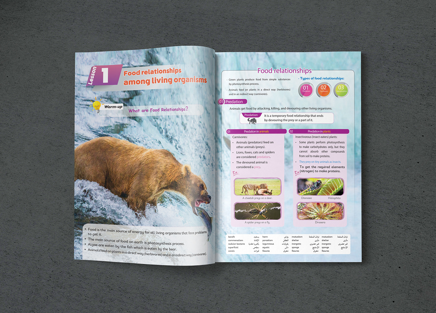 science educational Education book primary school magazines