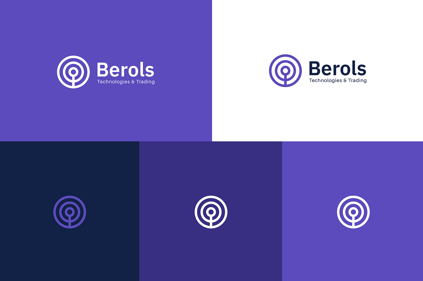 Berols branding  crab network IT Solutions Provider Logo Design
