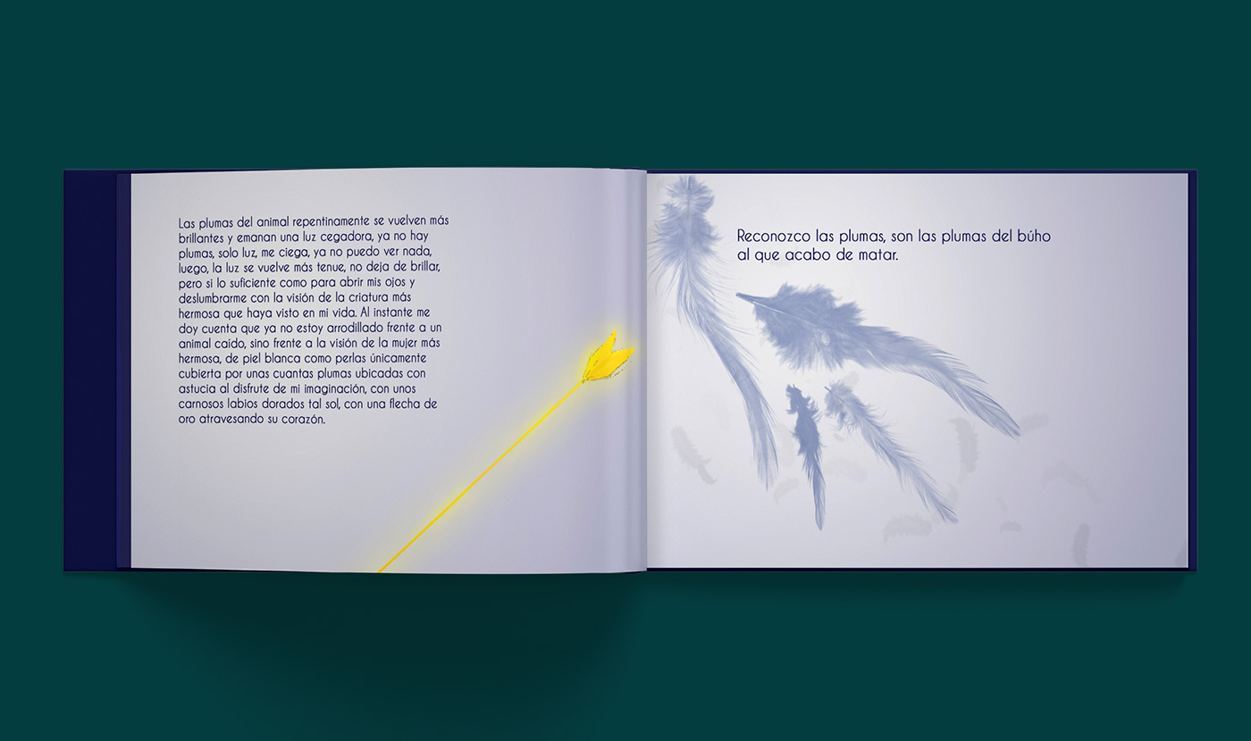 book digitalart art ILLUSTRATION  design editorialdesign