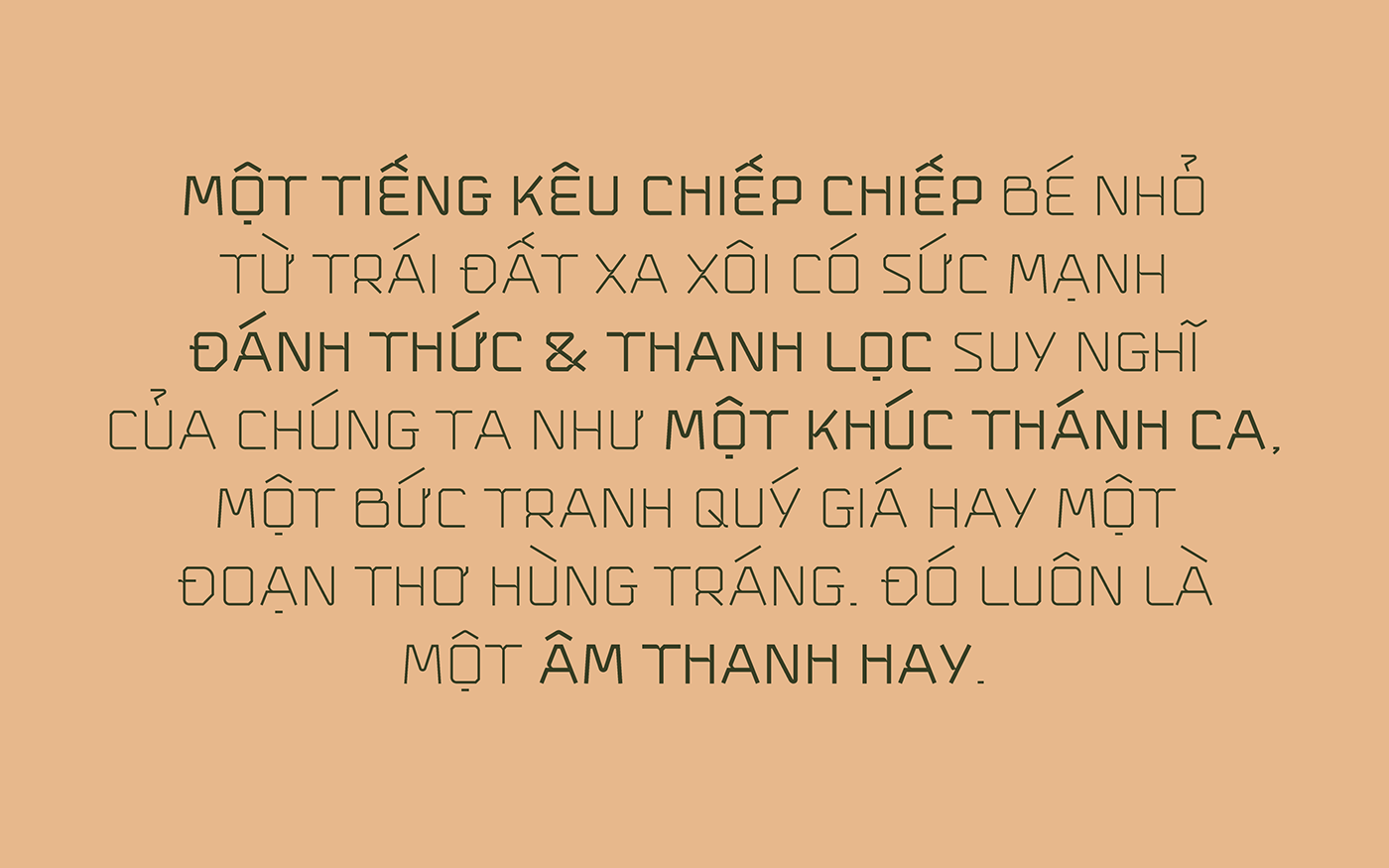 ben datdo Display font geometric sans serif traditional vietnam Window