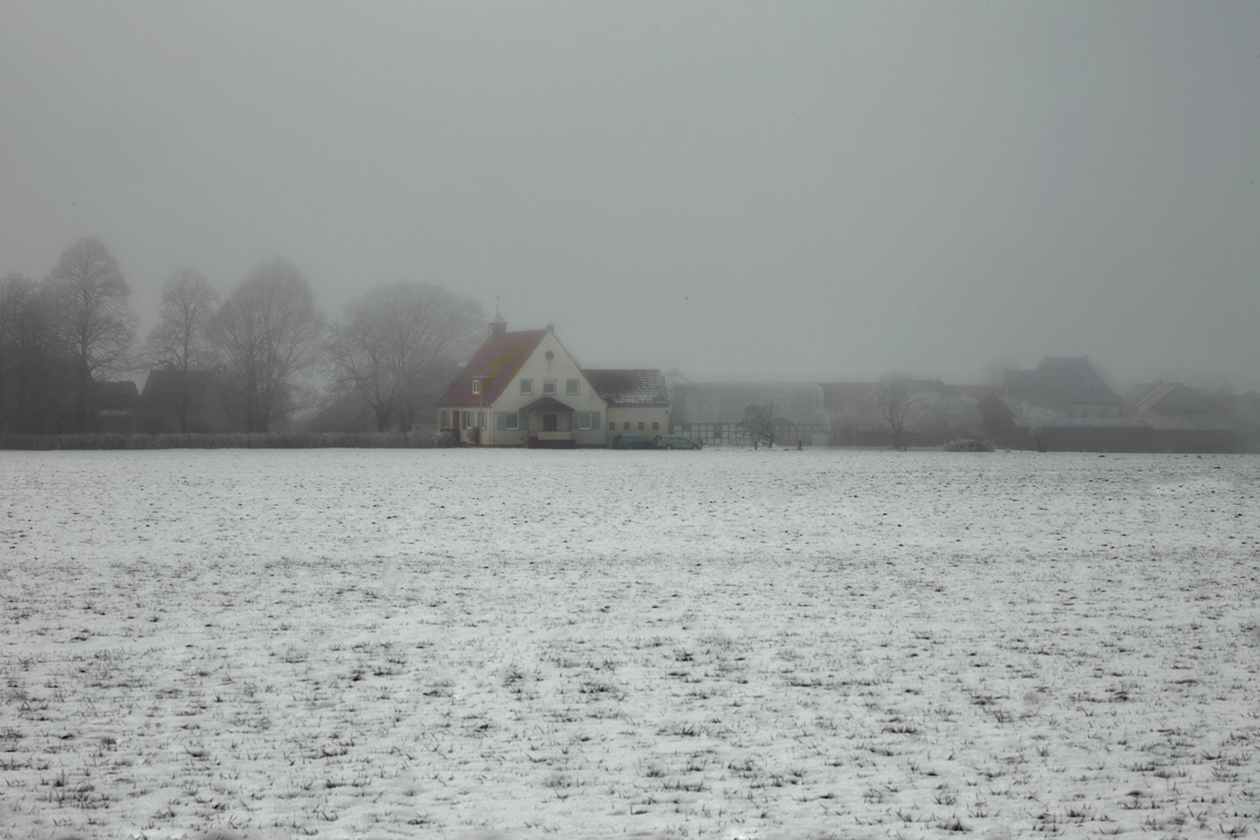 jörg marx Landscape Photography  dog snow winter