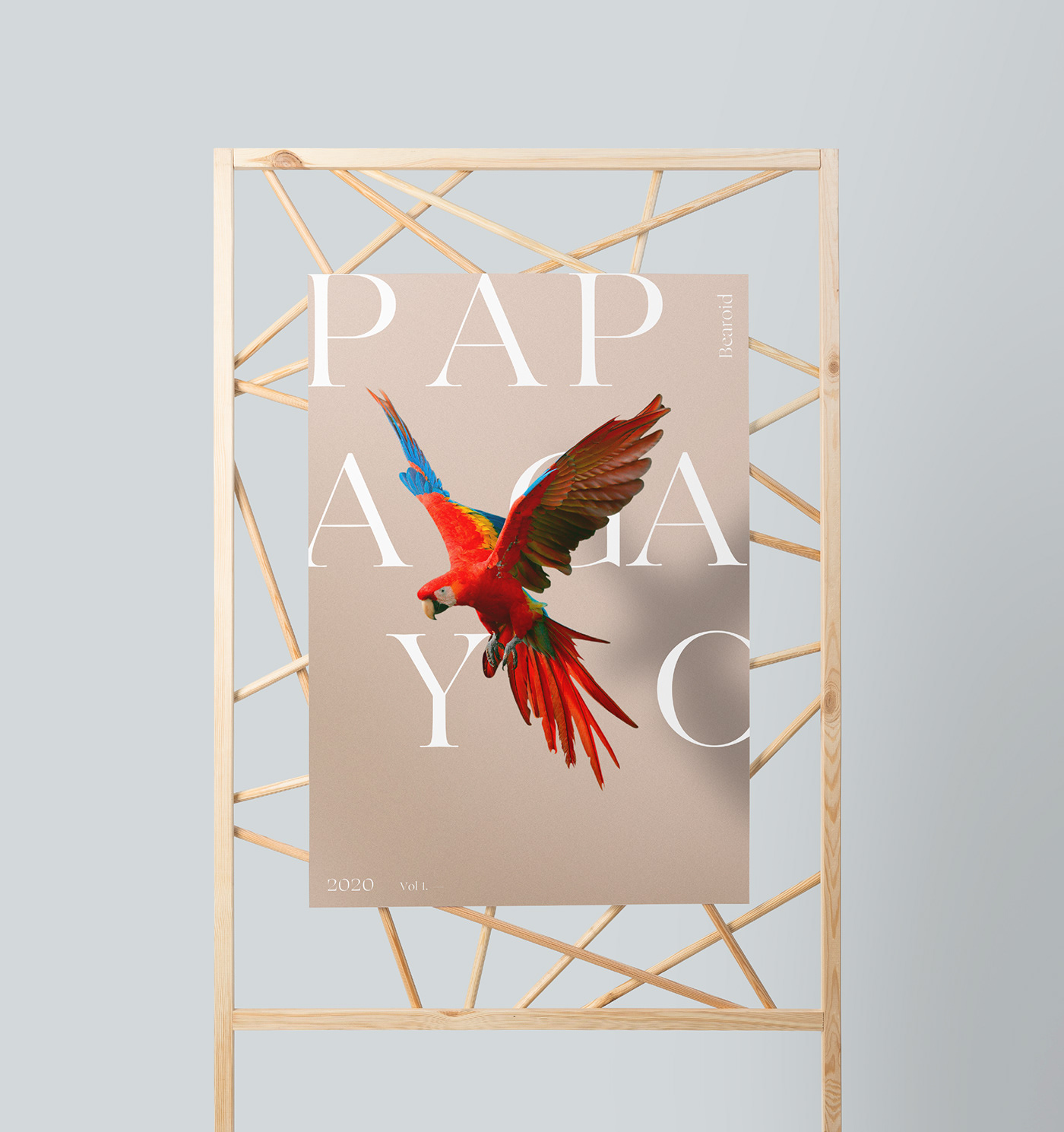 cover music papagayo bird Album color feather poster