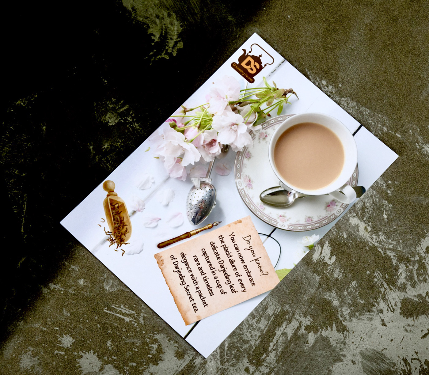 brochure bifold Darjeeling tea teabranding visiting card tea ad posters flyers darjeelingtea