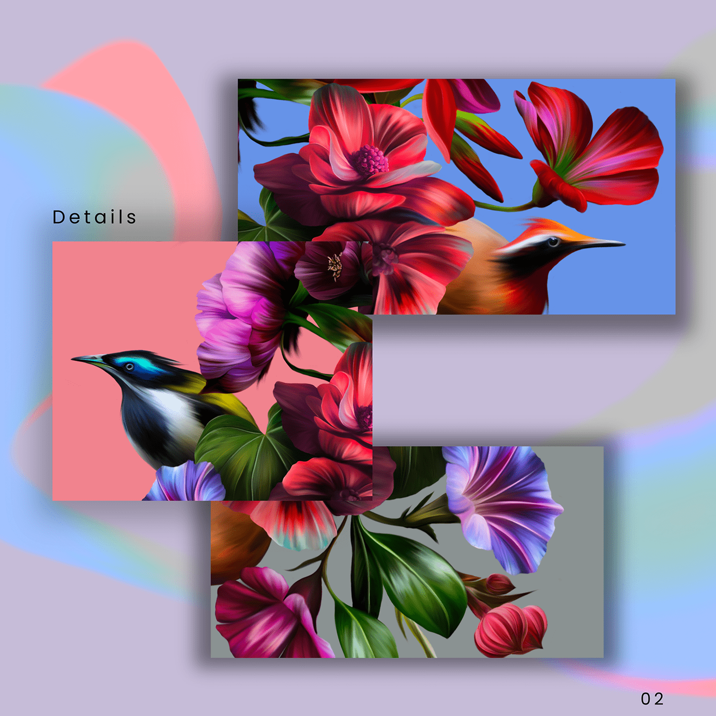 bird colorful Digital Art  floral flowerdesign Flowers gradient ILLUSTRATION  Nature pattern